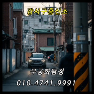 강서구흥신소