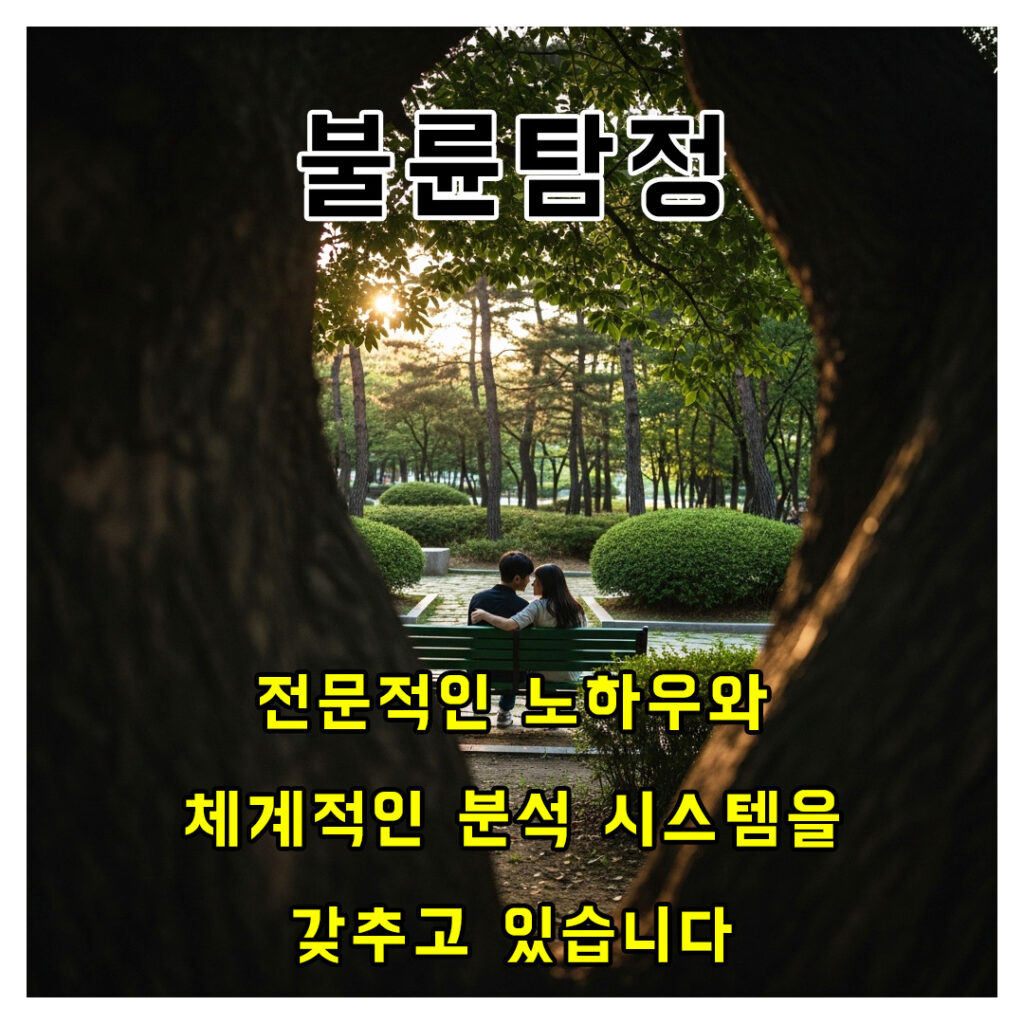 불륜탐정