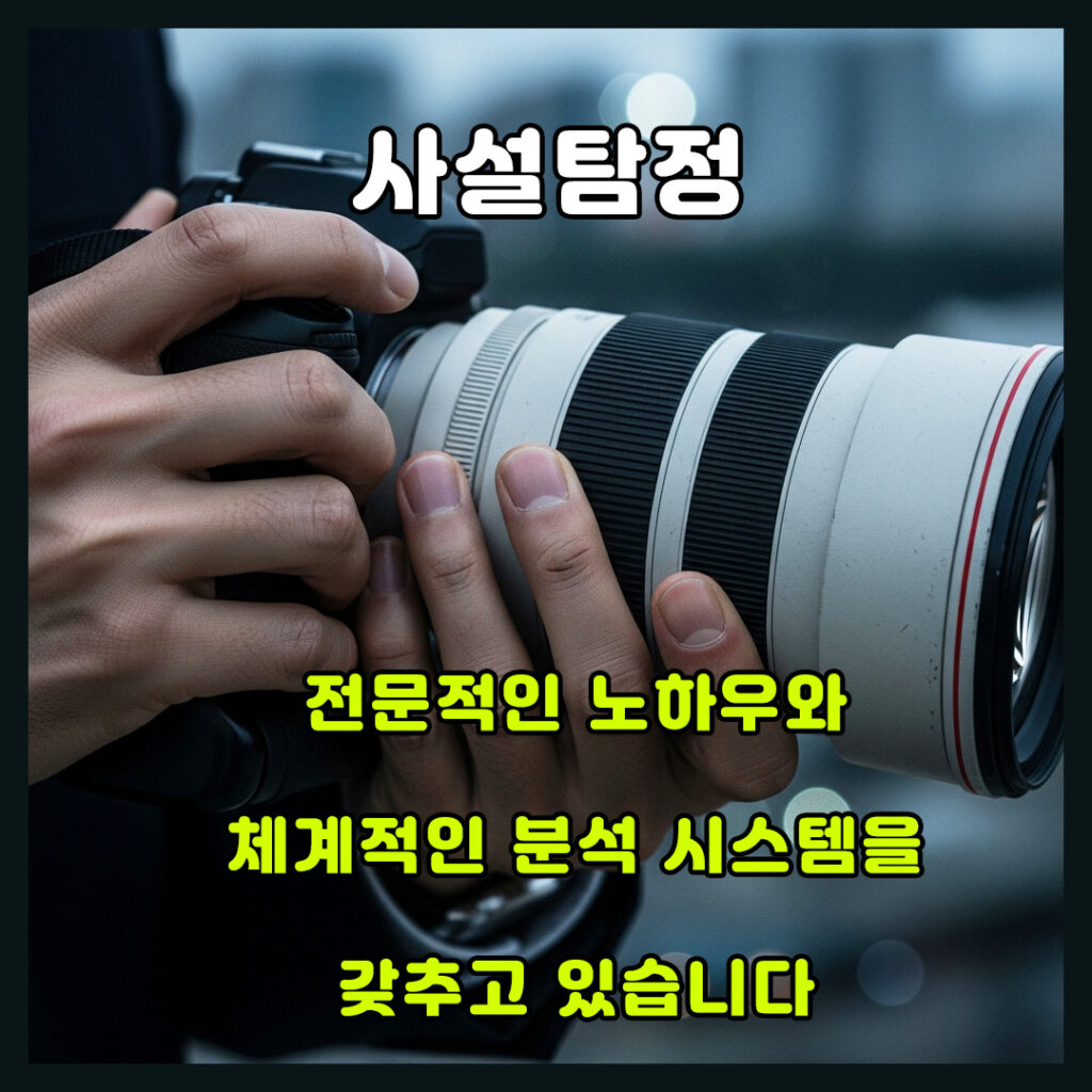 사설탐정
